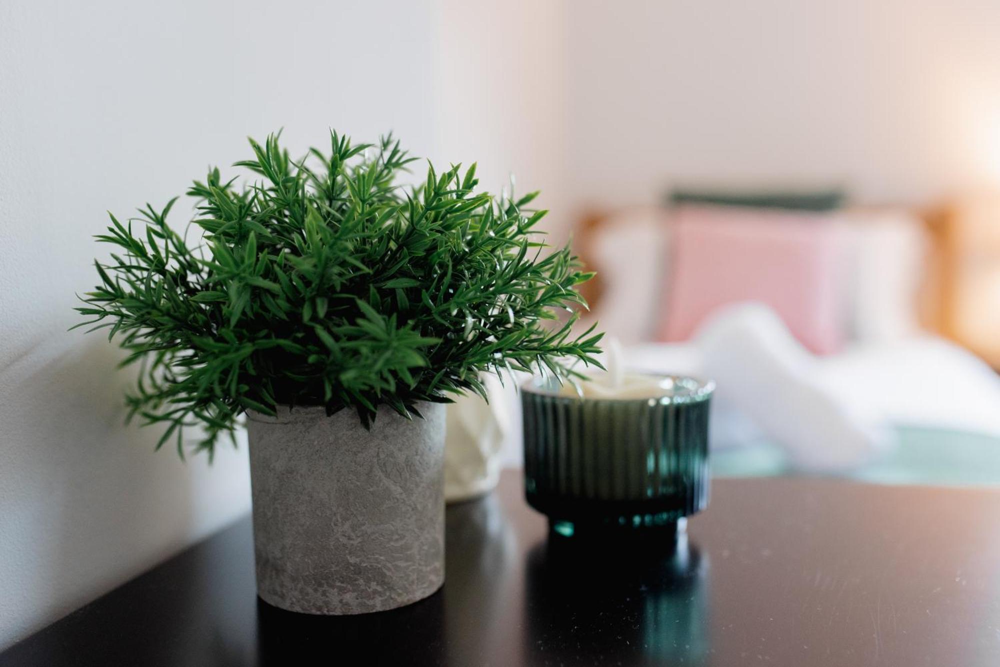 Bowling Terrace By Above Rubies - Stylish, 3 Bedroom, Pet Friendly House In סקיפטון מראה חיצוני תמונה